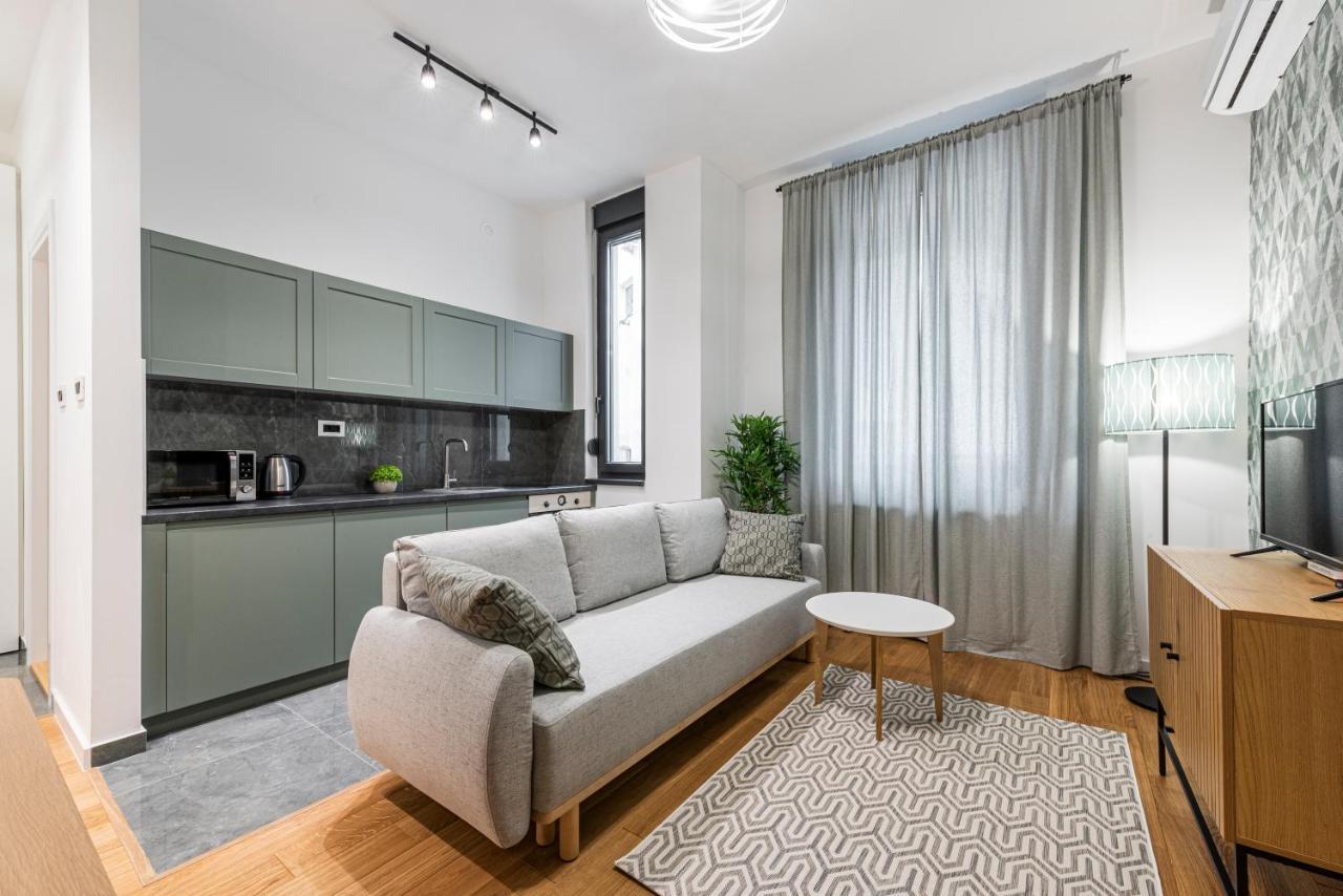 Vertigo One Bedroom Apartment-Free Private Parking Novi Sad Eksteriør bilde